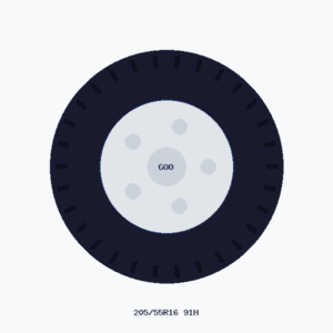 Goodyear EfficientGrip Performance - 205/55 R16 91H